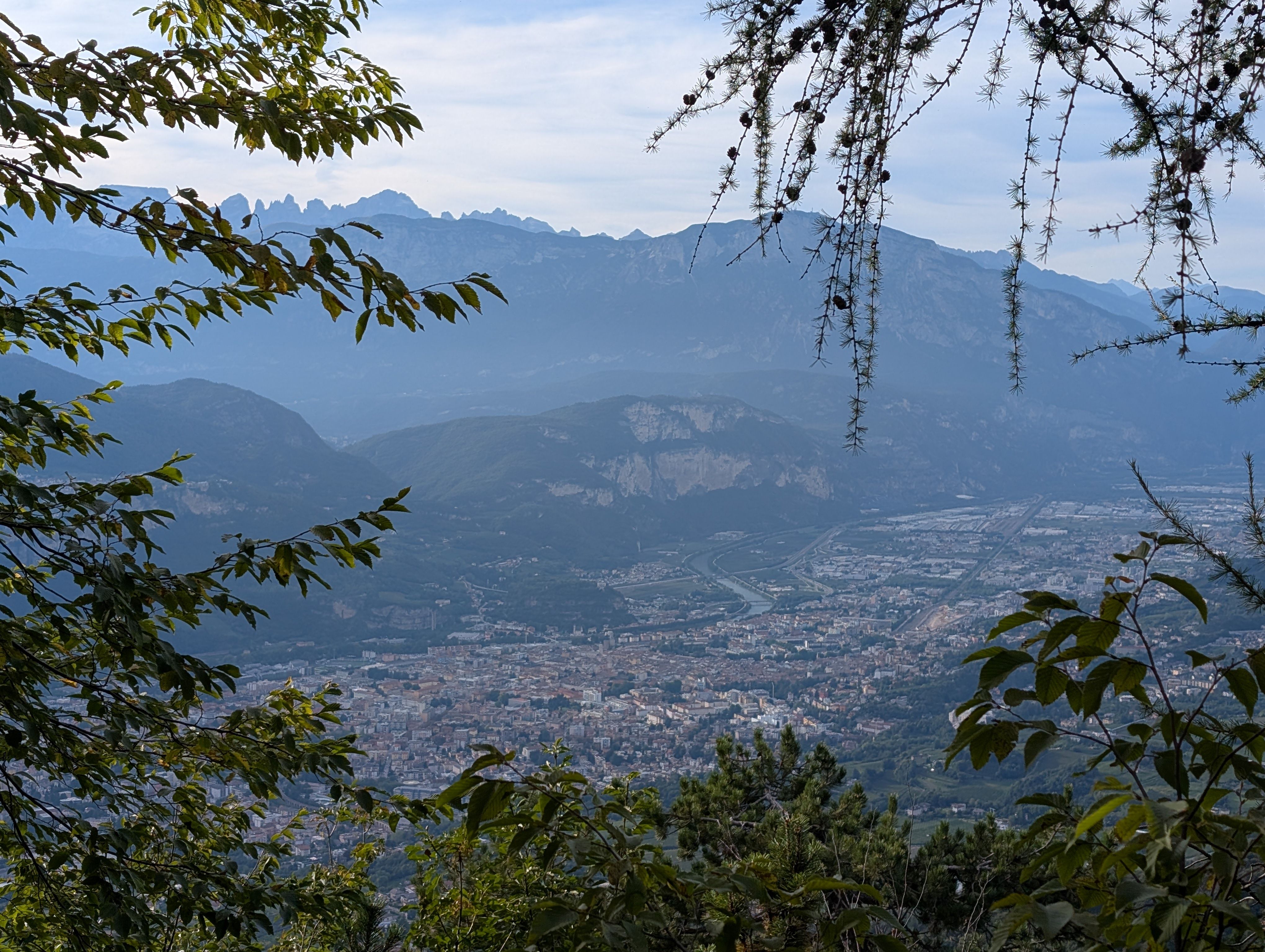 Nine Bags, One Cat, and a One-Way Ticket to Trento Hero Image