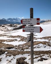 Signpost at the first trail fork pointing toward Torre Finestra.