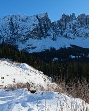Bench overlooking Lago di Carezza.