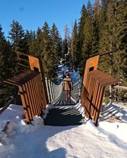 David on the suspension bridge at Lago di Carezza.