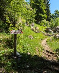 Trail sign pointing to Palestra Piccole Dolomiti on trail 175