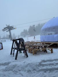 The snow conditions in the upper part of the Alpe Cermis ski resort in Cavalese are significantly better.