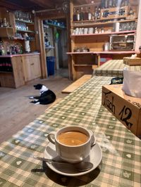 Cozy Sesselschwaige interior with coffee and the resident dog in the background