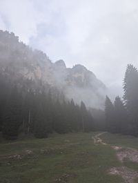 Foggy forest trail on the way to Rifugio Bergamo.