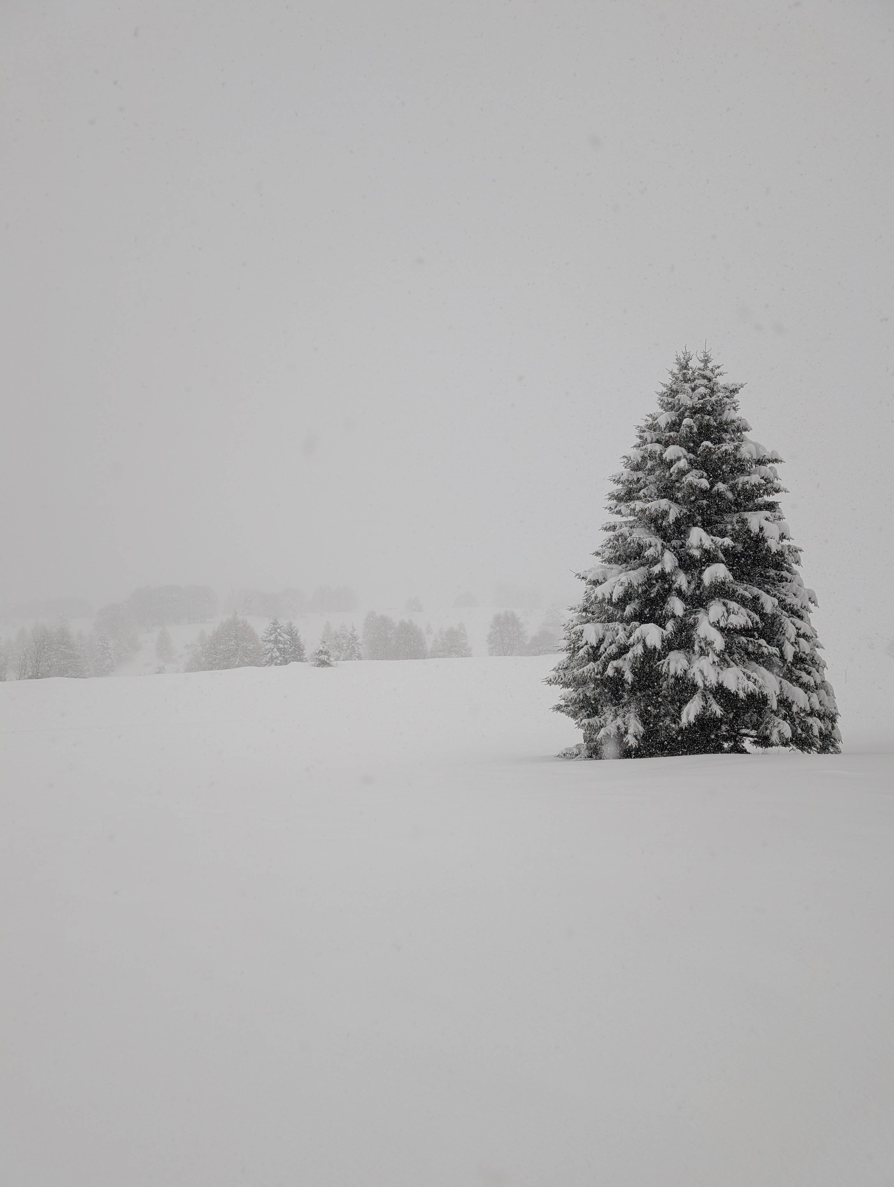Scenic background from Trentino, Italy