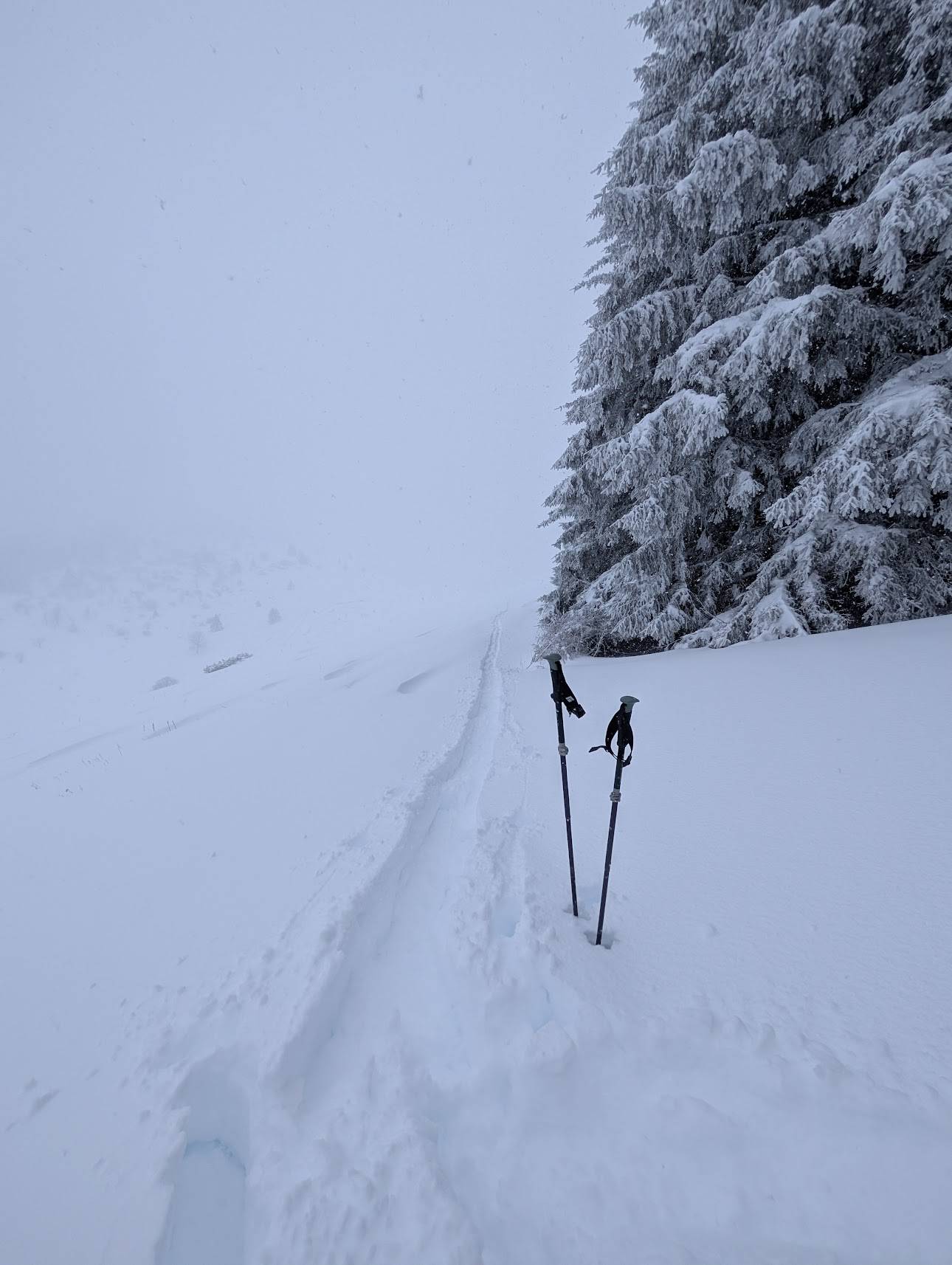 Scenic background from Trentino, Italy