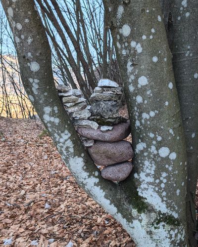 2026 02 13 cimrilo run rock sculpture