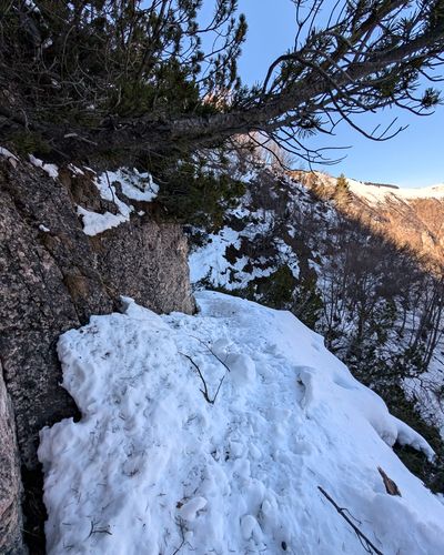 2026 02 18 trento palon trail is little snowy