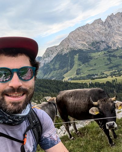 2026 07 15 carezza trail run alpen cow
