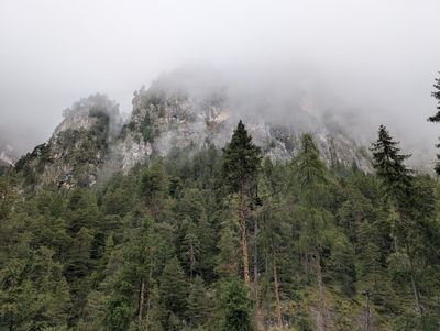 Mist rolling over a steep forested mountain slope