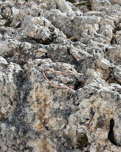 Sling at the base of Via Spigolo Sud beside the approach path.