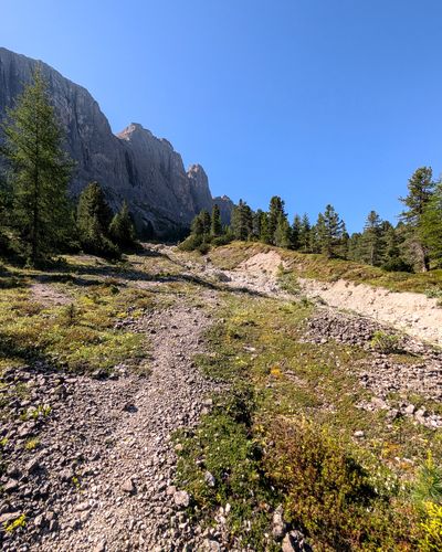 Gravel trail leaving the Sella road toward Piccola Torre.