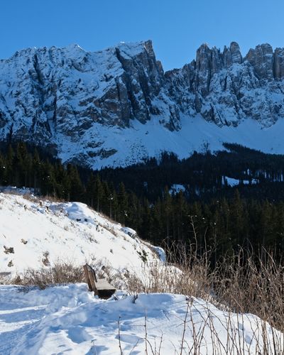 Bench overlooking Lago di Carezza.