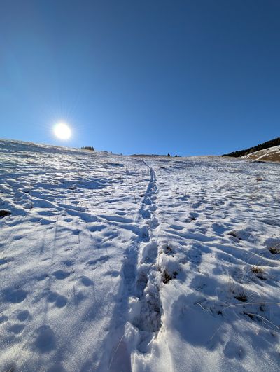 Packed snow track climbing toward the Monte Cornetto ridge on trail 607.