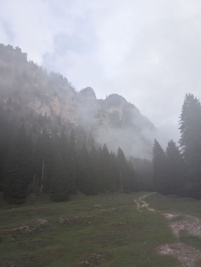 Foggy forest trail on the way to Rifugio Bergamo.