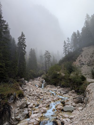 Alpine creek in Valle di Ciamin on the way to Rifugio Bergamo.