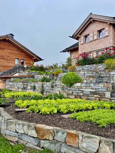 Vegetable garden behind Tschafon Hut.