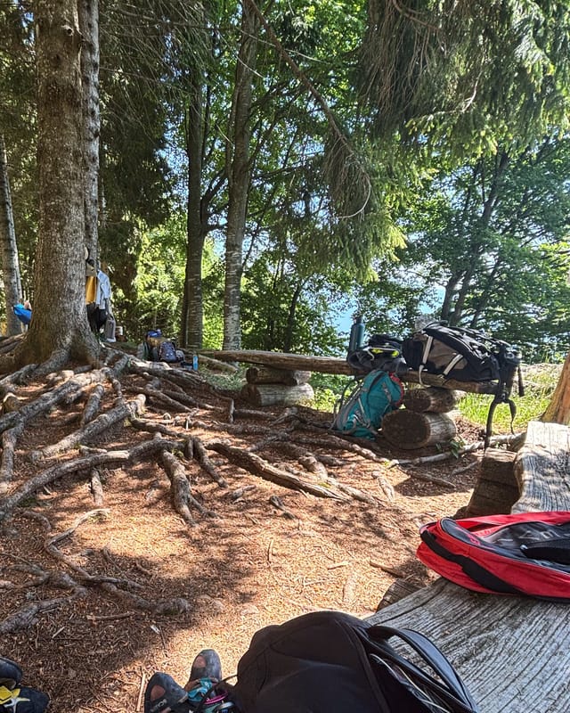 Wooden bench in the pine forest at the base of Piccole Dolomiti with climbing gear