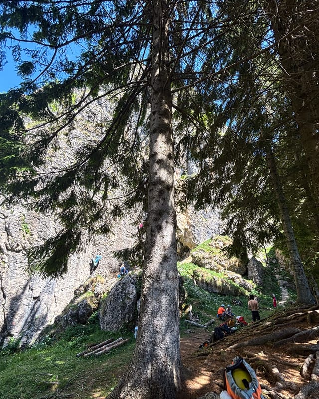 2026 05 30 piccole dolomiti crag view