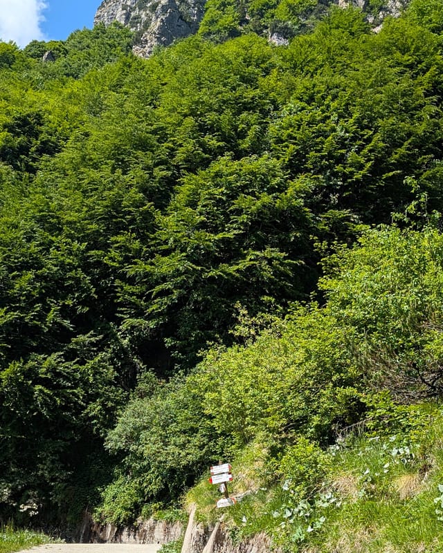 Trail markers at the Torre dell'Emmele fork on Strada del Re