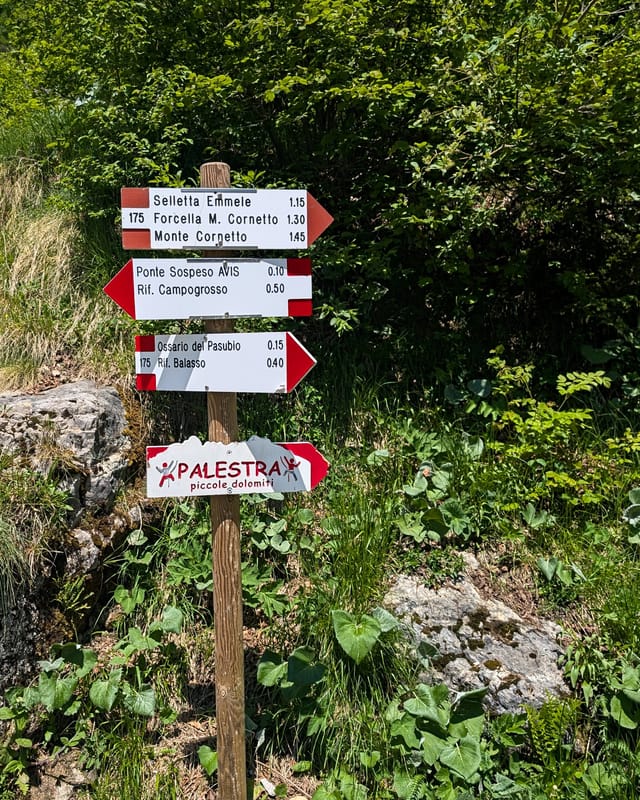 Wooden signpost on Strada del Re pointing to the Piccole Dolomiti crag
