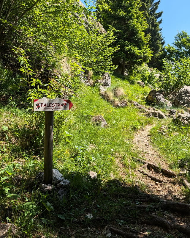Trail sign pointing to Palestra Piccole Dolomiti on trail 175