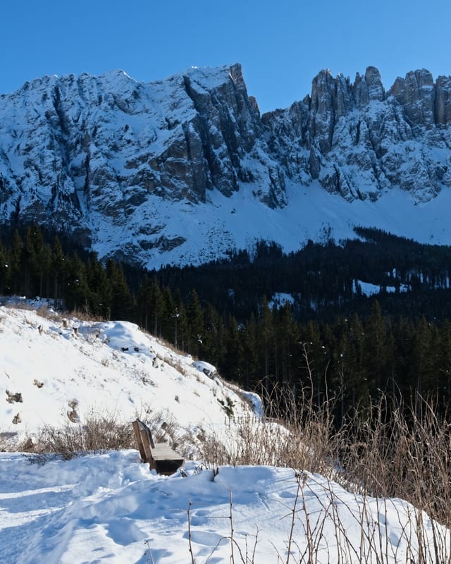 Bench overlooking Lago di Carezza.
