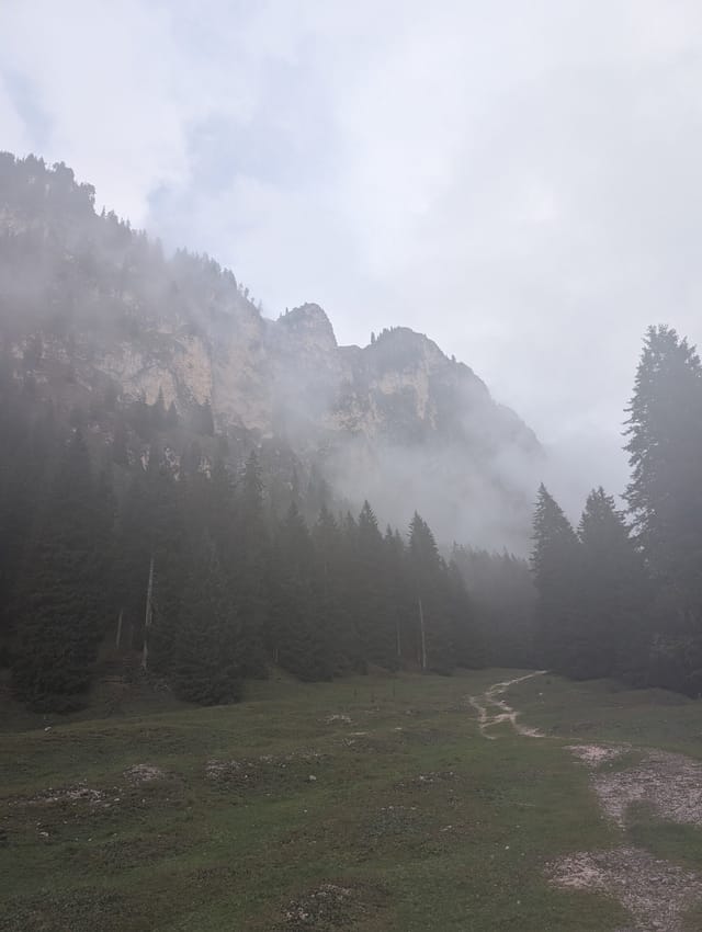 Foggy forest trail en route to Rifugio Bergamo